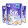 BPC-pouch Salmon Fillets in Jelly for Adult cats 85g (24) - Fileji Lososa v želeju za odrasle mačke