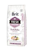 Brit Fresh Chicken with Potato Puppy Healthy Growth 12kg Piščanec in krompir za mlade pse
