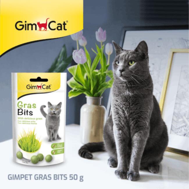 GIMCAT GRAS-BITS 50g
