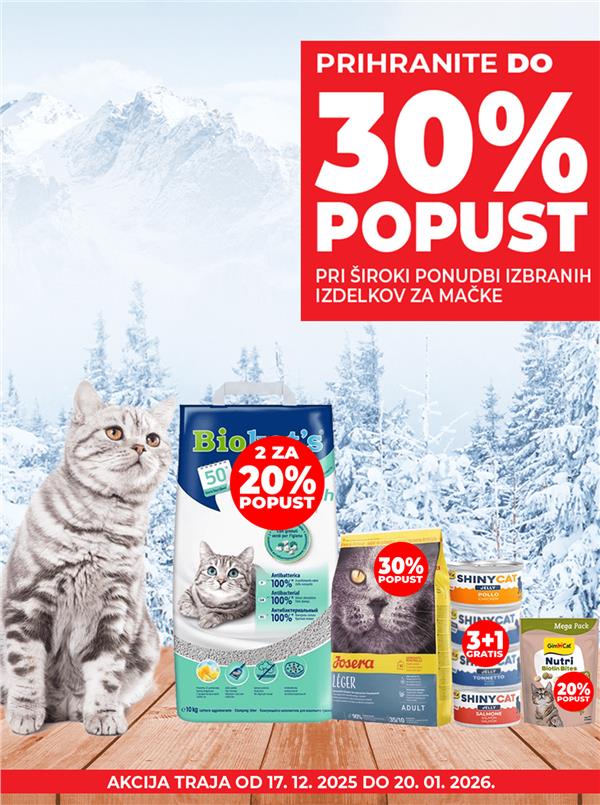 MAČKE AKCIJA DECEMBAR